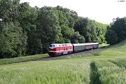 Sonderzug bei Blankenhof (Bahnstrecke Neubrandenburg-Güstrow)